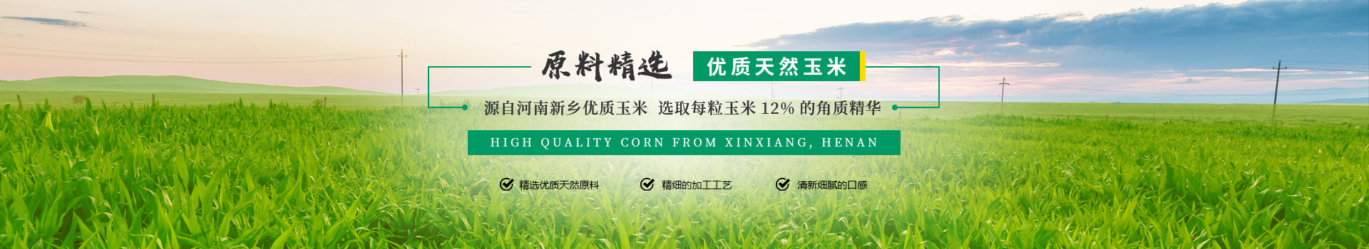 新乡市龙山庄园粮食加工有限公司